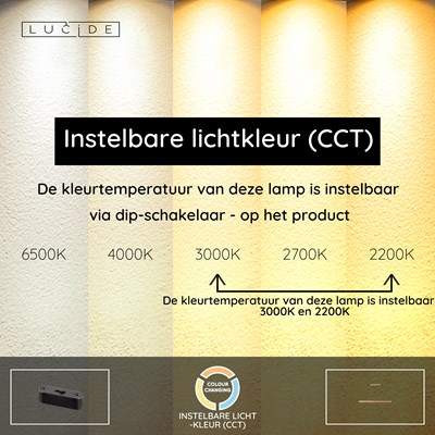 Lucide BANNISTER - Hanglamp - LED Dimb. - CCT - 1x30W 2200K/3000K - Lichte houtlook - Vibes